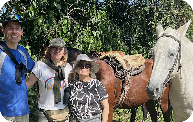 Reunión o Taller de trabajo